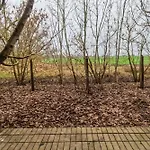 Pipacs Vendeghaz Es 3* Poroszló
