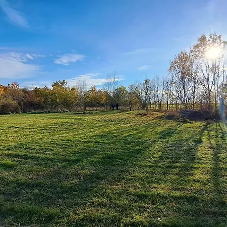 Pipacs Poroszló