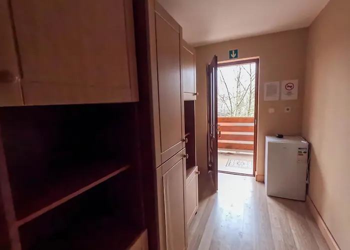 Pipacs Vendeghaz Поросло